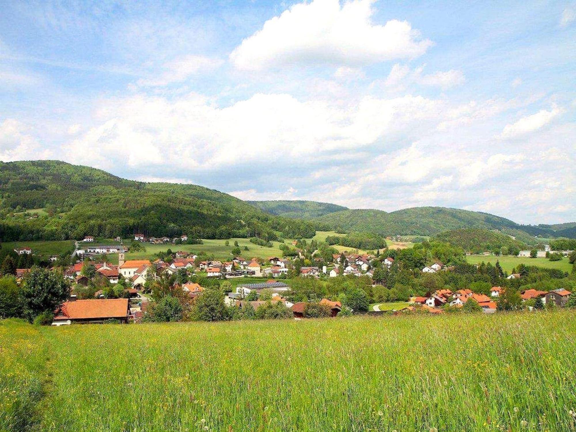 Comfortable Apartment In Zenting In Lower Bavaria Екстериор снимка
