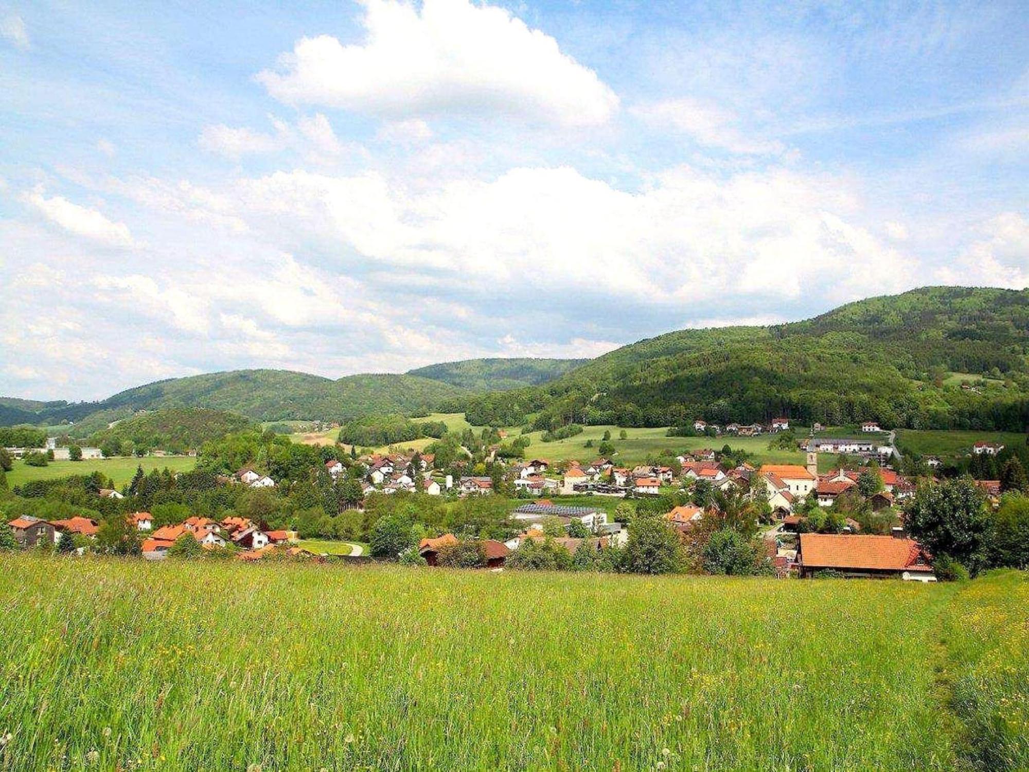 Comfortable Apartment In Zenting In Lower Bavaria Екстериор снимка